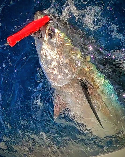 KOINOBORI POPPER 200