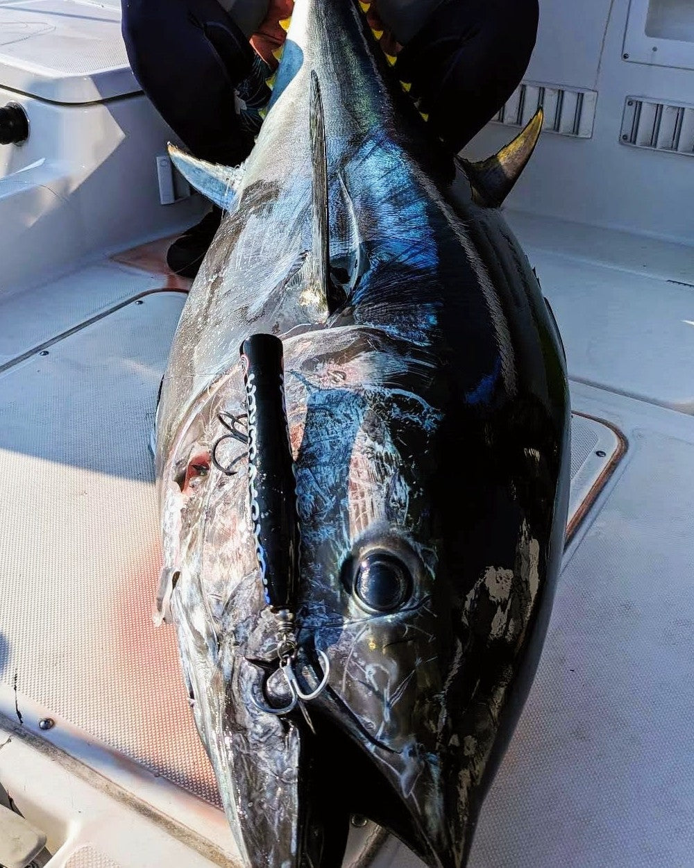 KOINOBORI POPPER 230 Monster Tuna