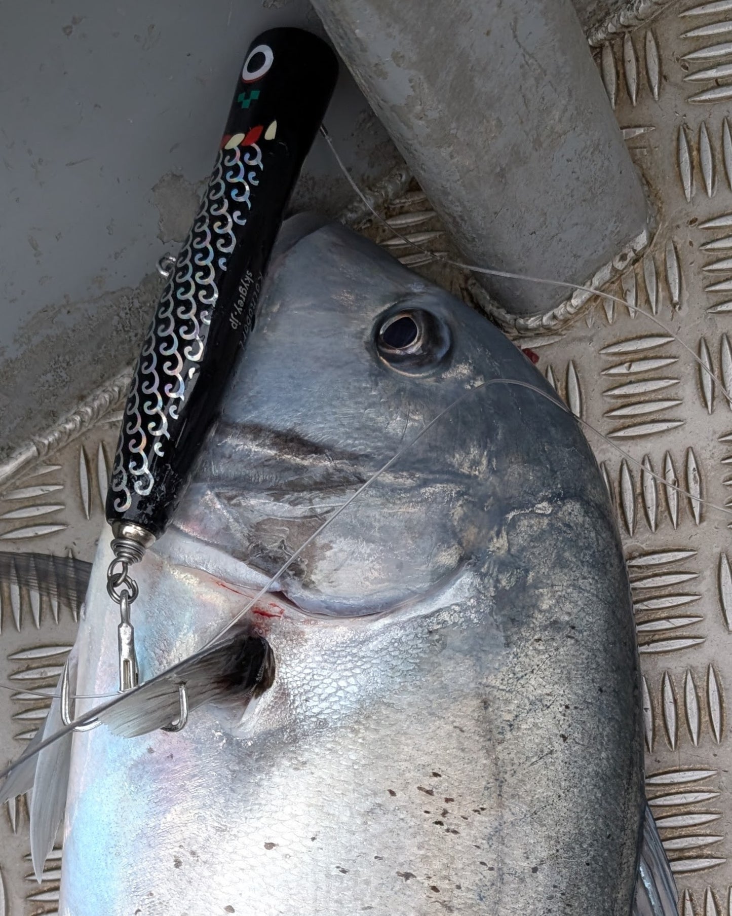 KOINOBORI POPPER 180