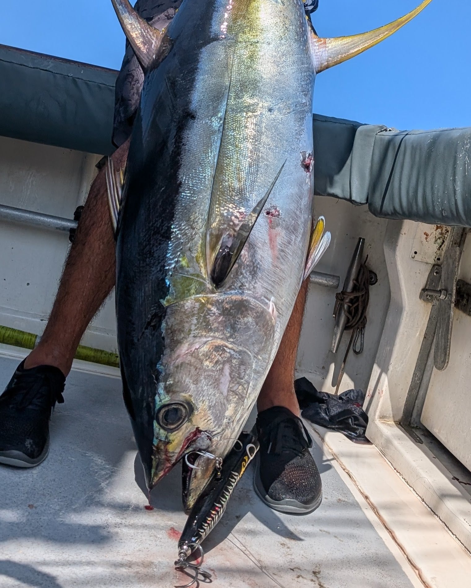 KOINOBORI POPPER 230 – SkyGreyLures